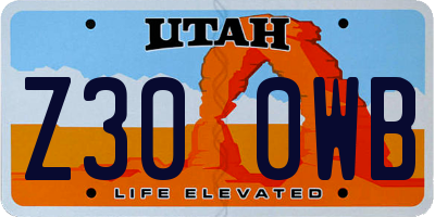 UT license plate Z300WB