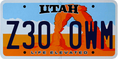 UT license plate Z300WM