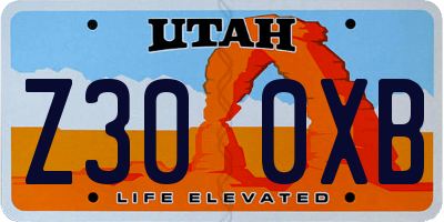 UT license plate Z300XB