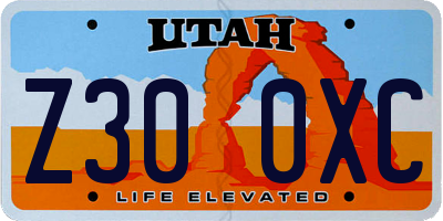 UT license plate Z300XC