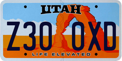 UT license plate Z300XD