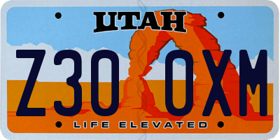 UT license plate Z300XM