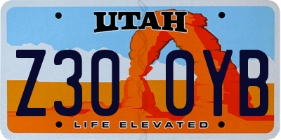 UT license plate Z300YB