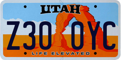 UT license plate Z300YC