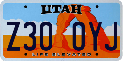 UT license plate Z300YJ