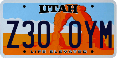 UT license plate Z300YM