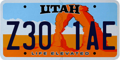 UT license plate Z301AE