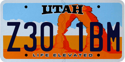 UT license plate Z301BM