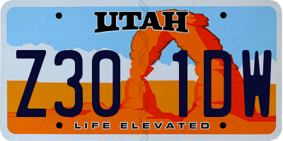 UT license plate Z301DW