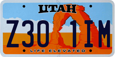 UT license plate Z301IM
