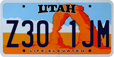 UT license plate Z301JM