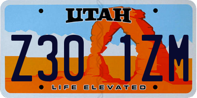UT license plate Z301ZM
