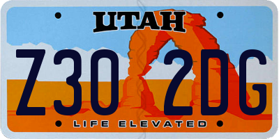 UT license plate Z302DG