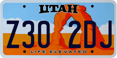 UT license plate Z302DJ