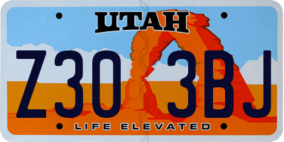 UT license plate Z303BJ