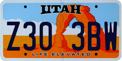 UT license plate Z303BW