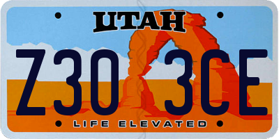 UT license plate Z303CE