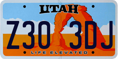UT license plate Z303DJ