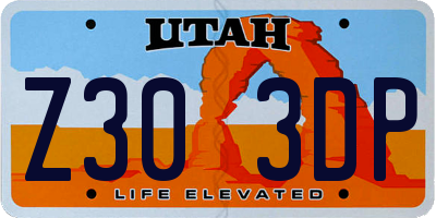 UT license plate Z303DP