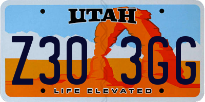 UT license plate Z303GG