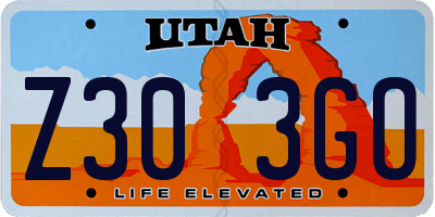 UT license plate Z303GO