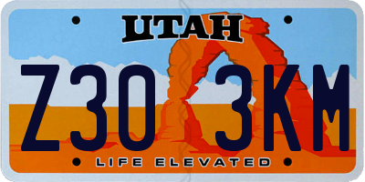 UT license plate Z303KM