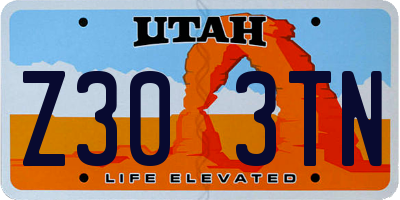 UT license plate Z303TN