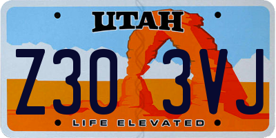 UT license plate Z303VJ