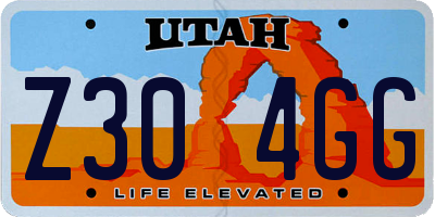 UT license plate Z304GG