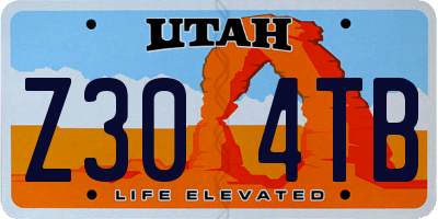 UT license plate Z304TB
