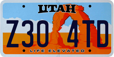 UT license plate Z304TD