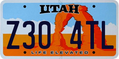UT license plate Z304TL
