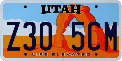 UT license plate Z305CM