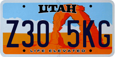 UT license plate Z305KG