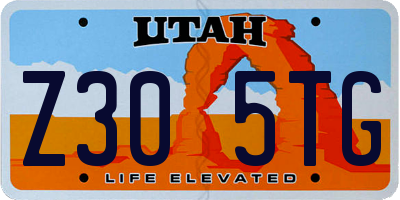 UT license plate Z305TG