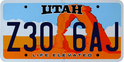 UT license plate Z306AJ