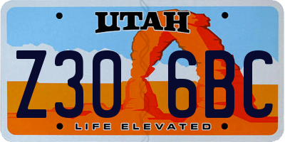 UT license plate Z306BC