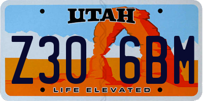 UT license plate Z306BM