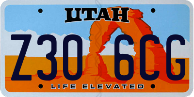 UT license plate Z306CG