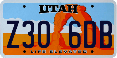 UT license plate Z306DB