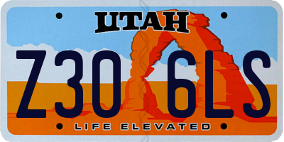 UT license plate Z306LS