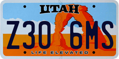 UT license plate Z306MS