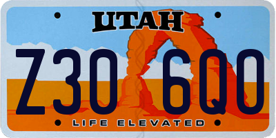 UT license plate Z306QO