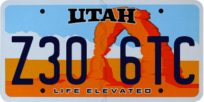 UT license plate Z306TC