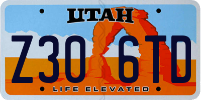 UT license plate Z306TD