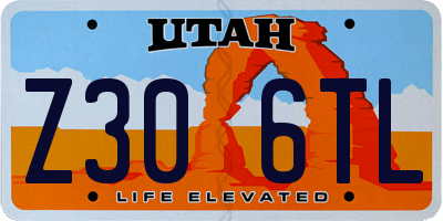 UT license plate Z306TL