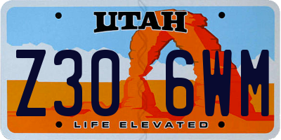 UT license plate Z306WM
