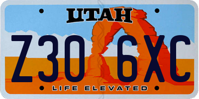 UT license plate Z306XC
