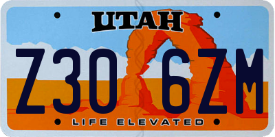 UT license plate Z306ZM