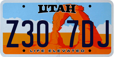 UT license plate Z307DJ